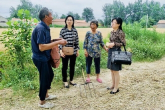 1888855 | 如火如荼“助三夏”