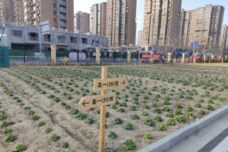 1888855|叠翠种植园，丰收采摘乐