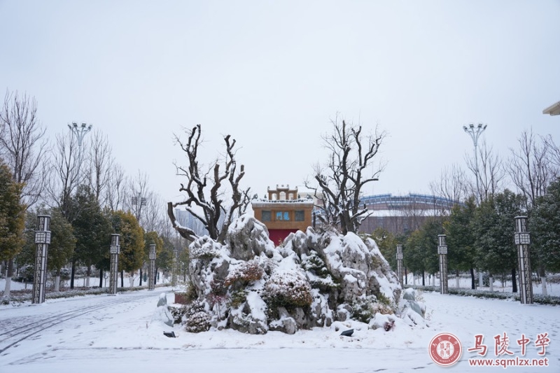 1888855雪景